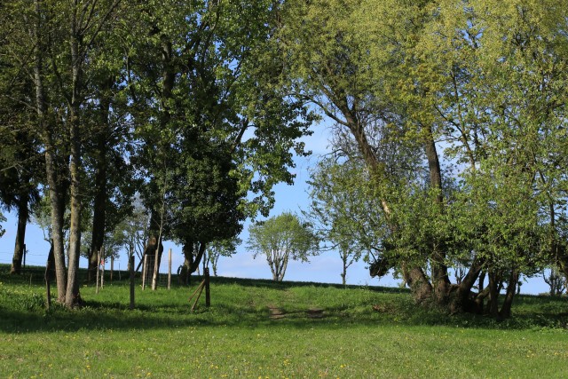 châtenay en france - parc agro forestier