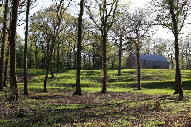 chatillon en bazois - forêt de dély