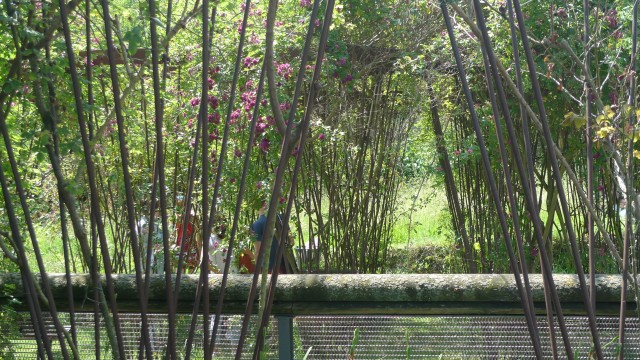 louviers - jardin du manoir de bigard